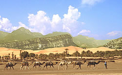 the Garda Desert - Camels