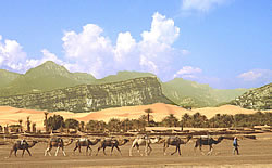 Deserto del Garda - Cammelli